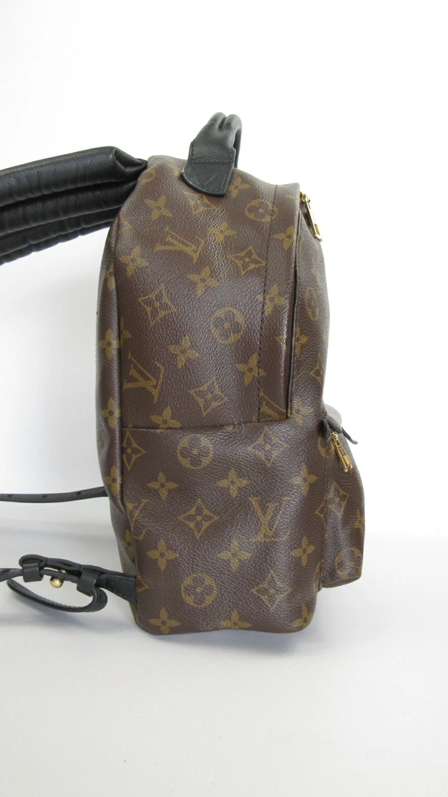 Louis Vuitton Monogram Palm Springs Backpack PM M44871 Rucksack
