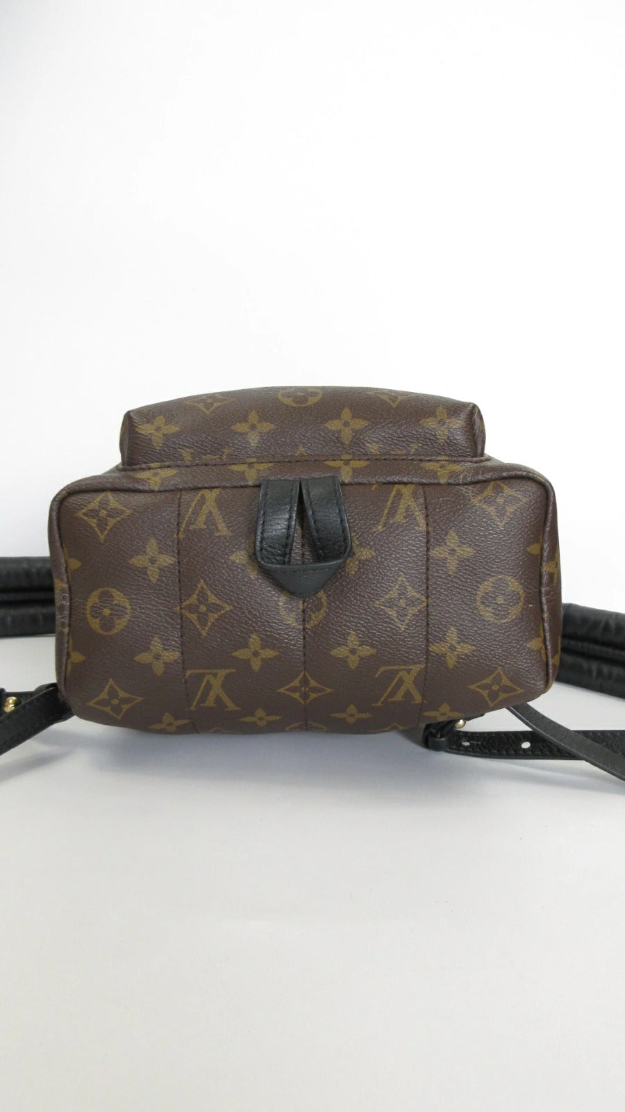 Louis Vuitton Monogram Palm Springs Backpack PM M44871 Rucksack