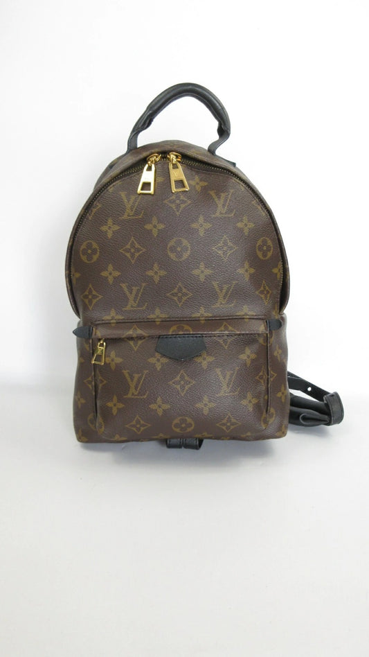 Louis Vuitton Monogram Palm Springs Backpack PM M44871 Rucksack